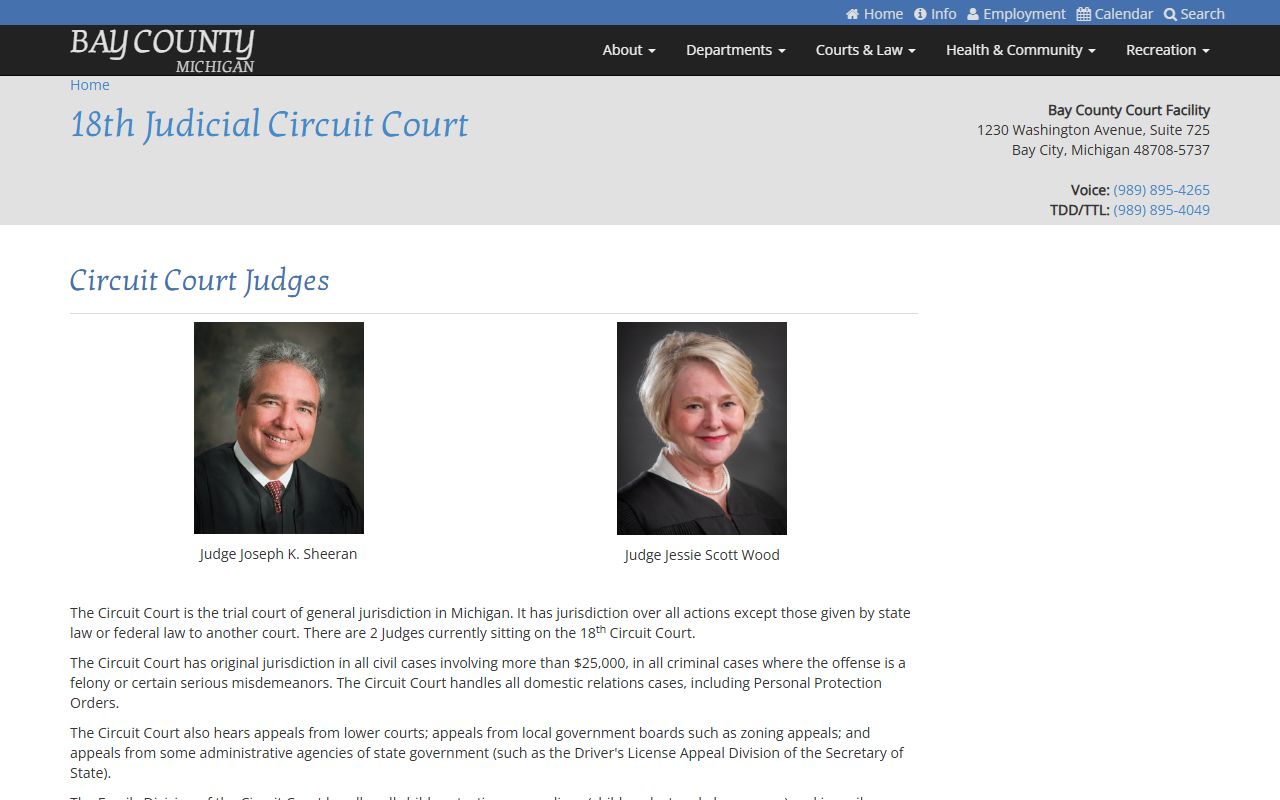 Bay County 18th Circuit Court website with divorce records and case filing information